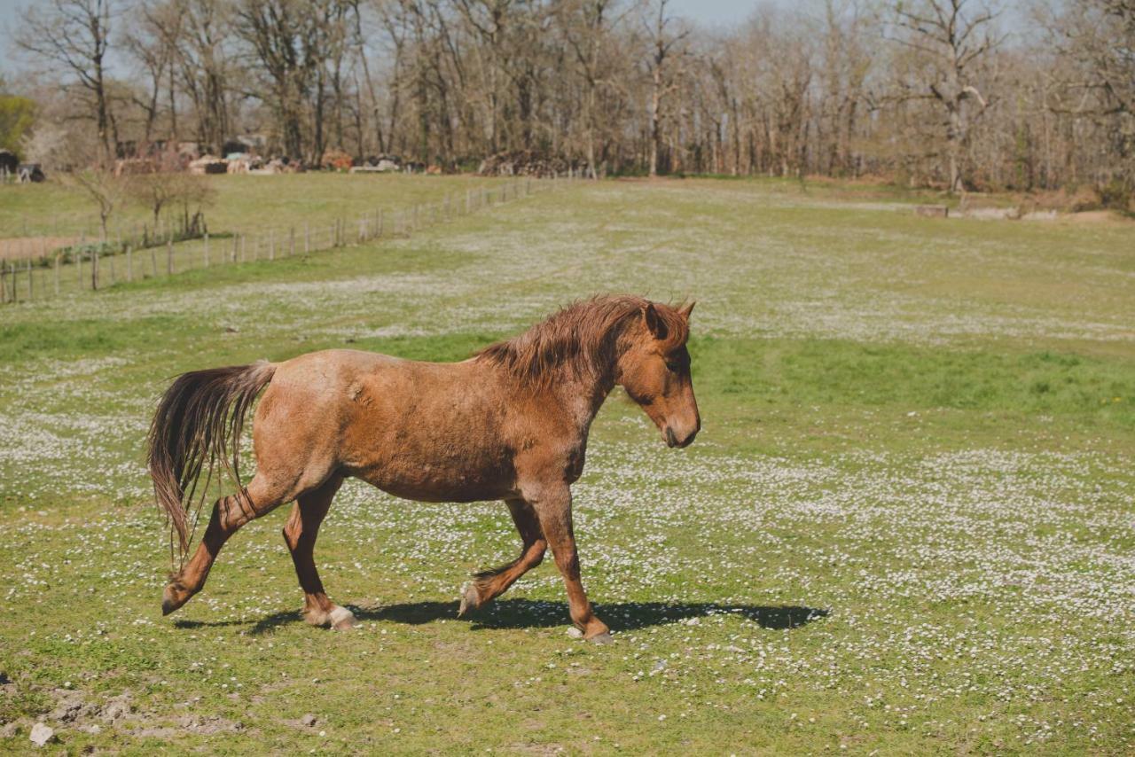 La Ferme De Bousserand Pontours Esterno foto